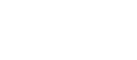 Scout Plane